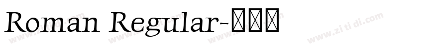 Roman Regular字体转换